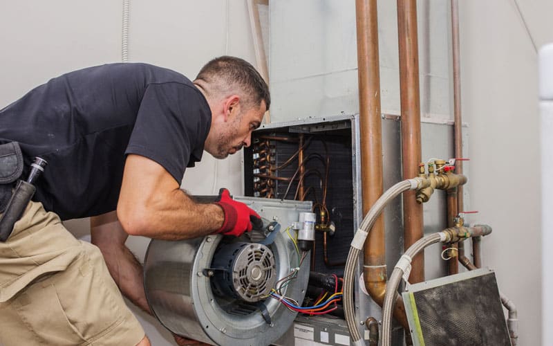 Consulting and Real Estate Inspections